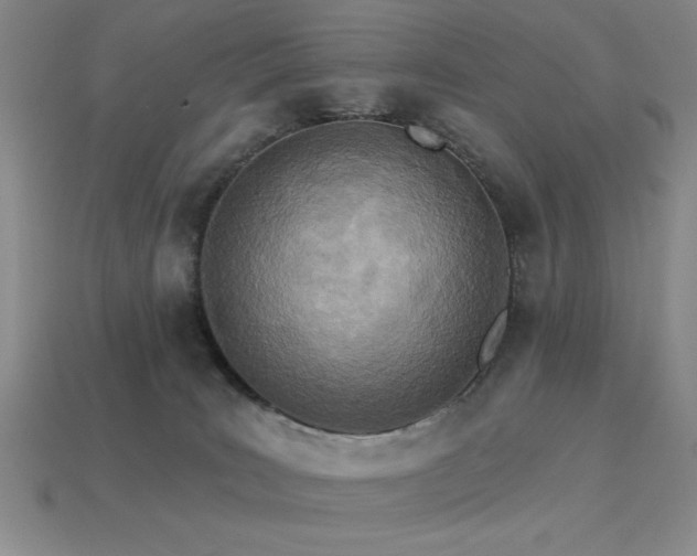 X0000113320035200909141405