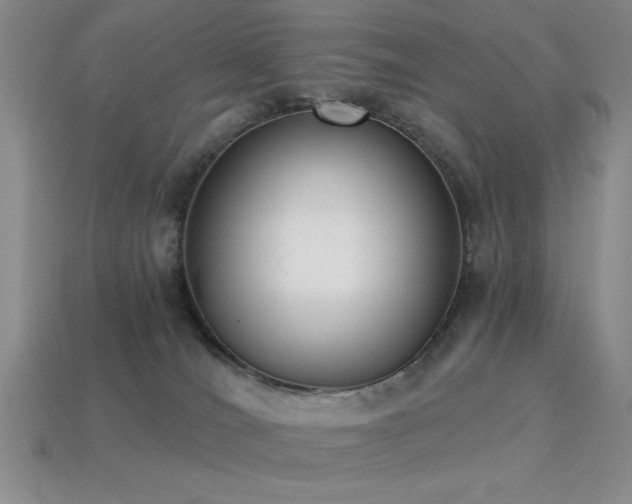 X0000113320036200909141405