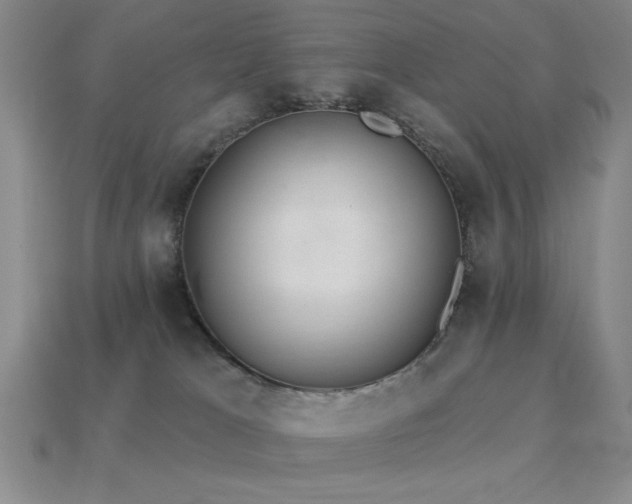 X0000113320037200909141405