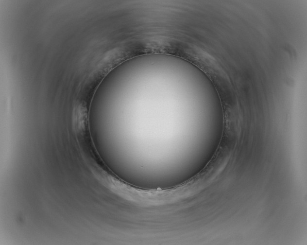 X0000113320038200909141405