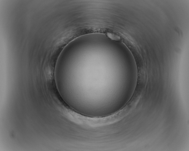 X0000113320039200909141405