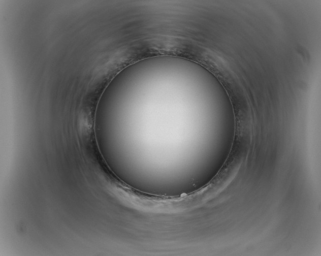 X0000113320040200909141405