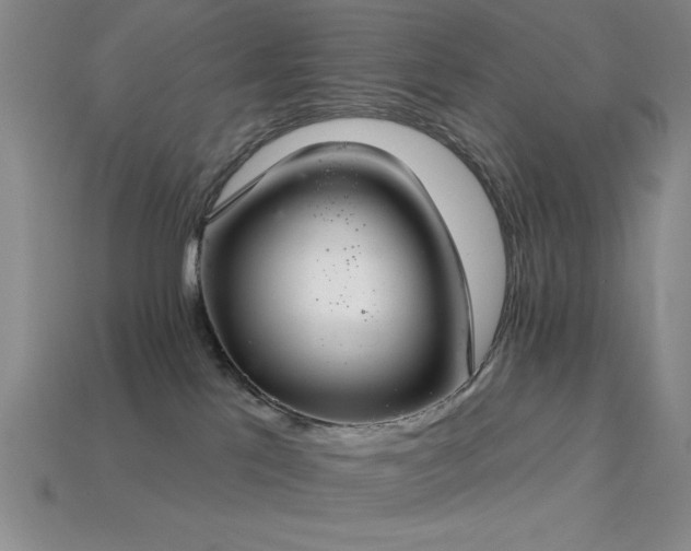 X0000113320041200909141405