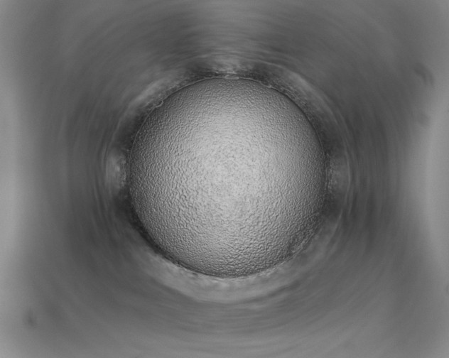 X0000113320043200909141405