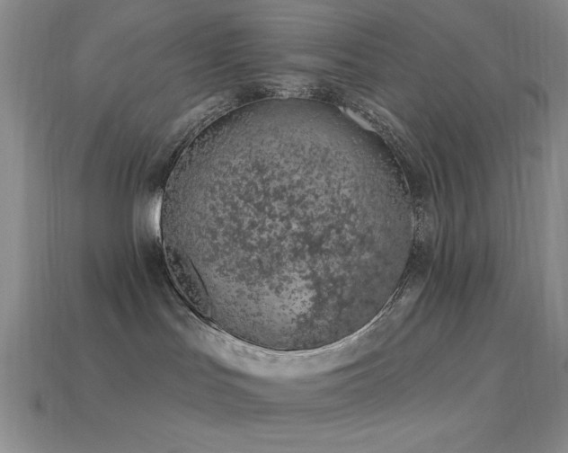 X0000113320047200909141405