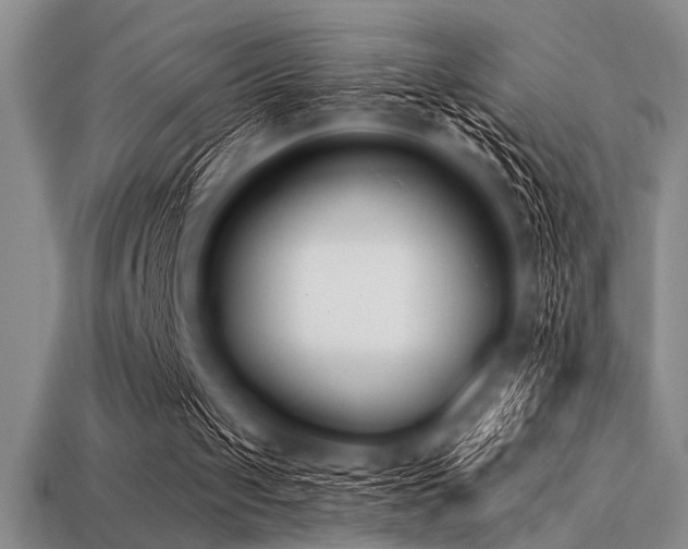 X0000113320049200909141404