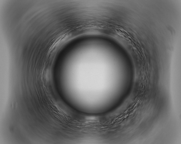 X0000113320050200909141404