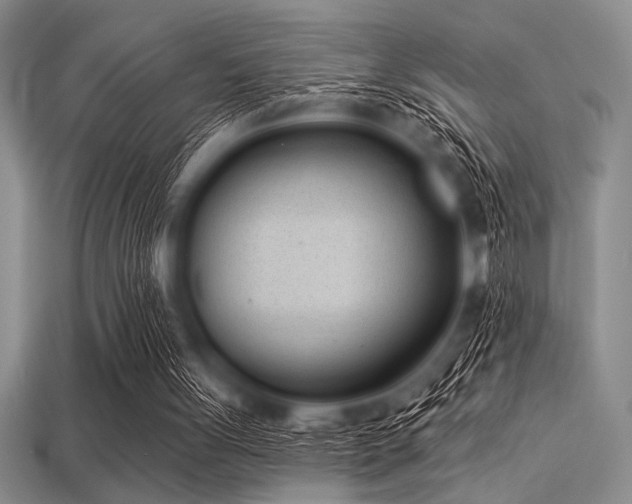 X0000113320051200909141404