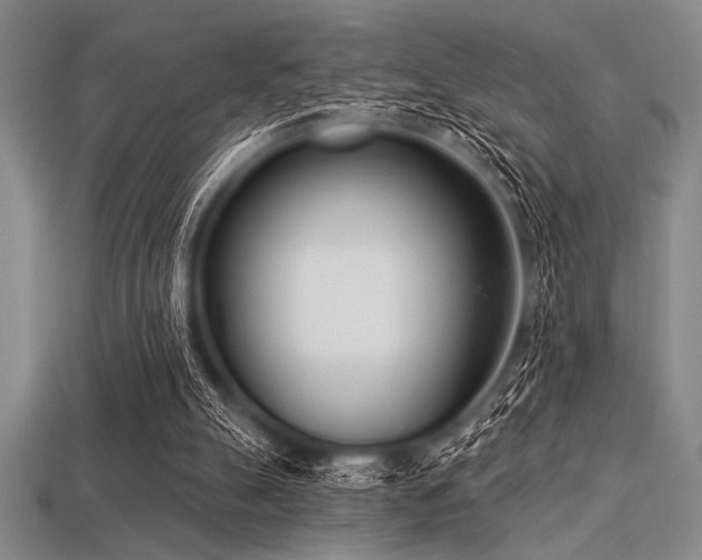 X0000113320055200909141404