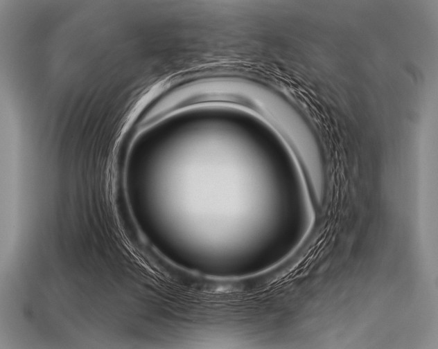 X0000113320056200909141404