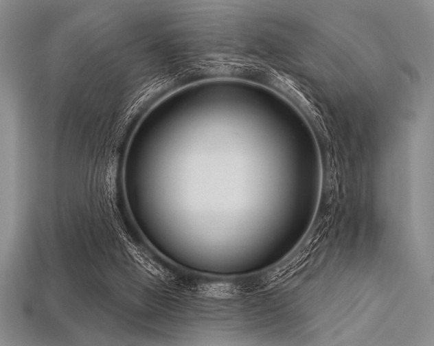 X0000113320058200909141404