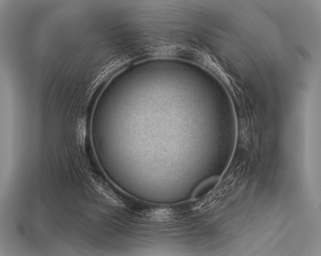 X0000113320059200909141404