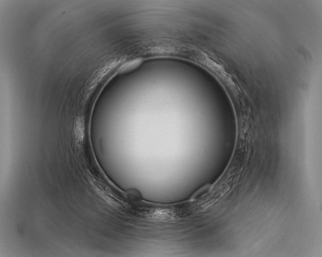 X0000113320060200909141404