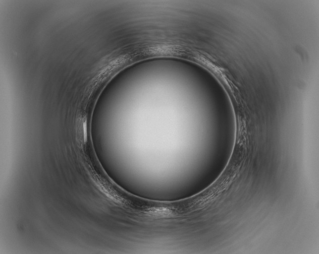 X0000113320061200909141404