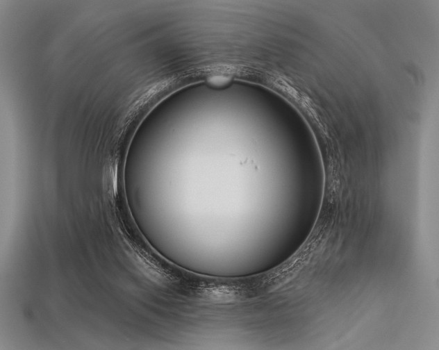 X0000113320062200909141404