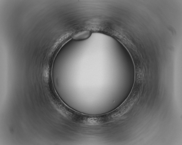 X0000113320064200909141404