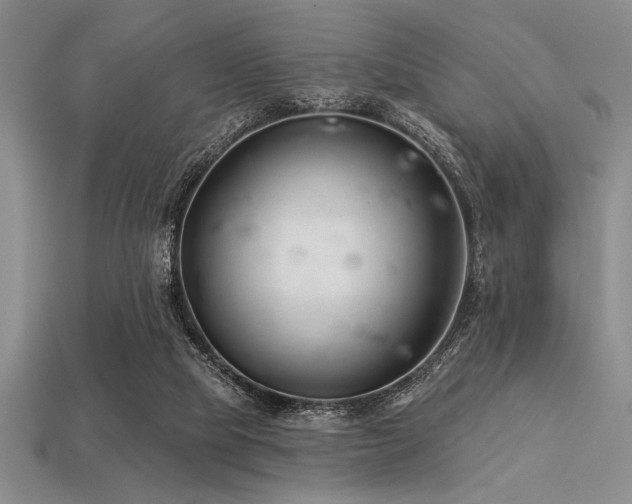 X0000113320065200909141404