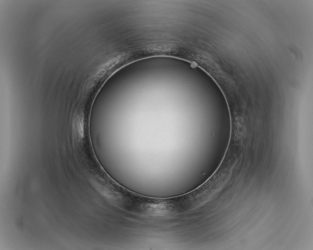 X0000113320068200909141404