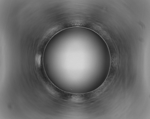 X0000113320070200909141404