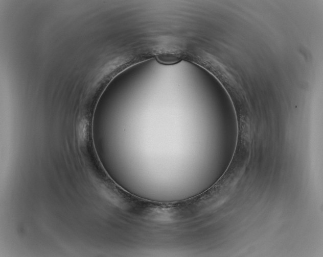 X0000113320071200909141404