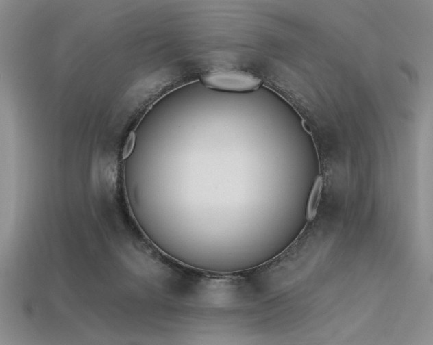 X0000113320072200909141404