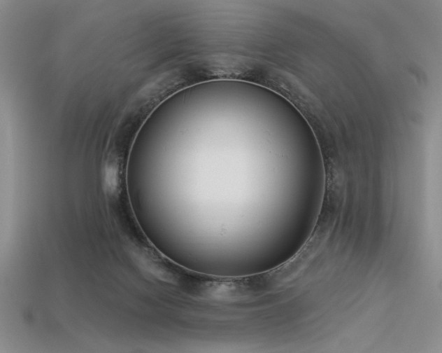 X0000113320074200909141404