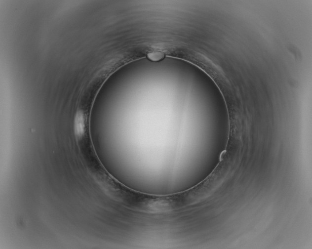 X0000113320075200909141404