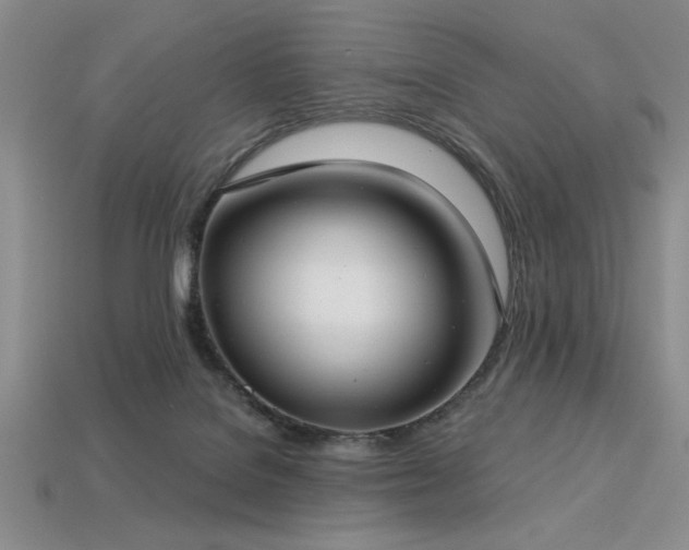 X0000113320076200909141404