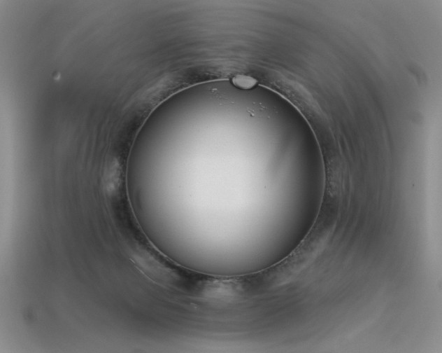 X0000113320077200909141404