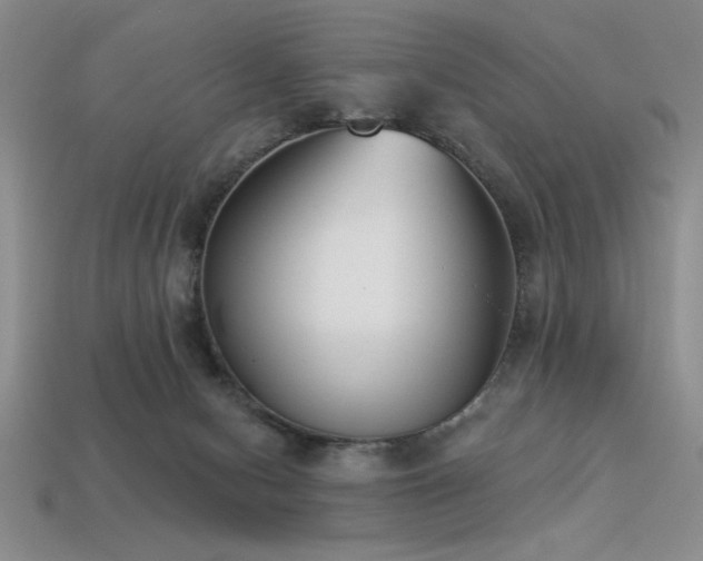 X0000113320078200909141404