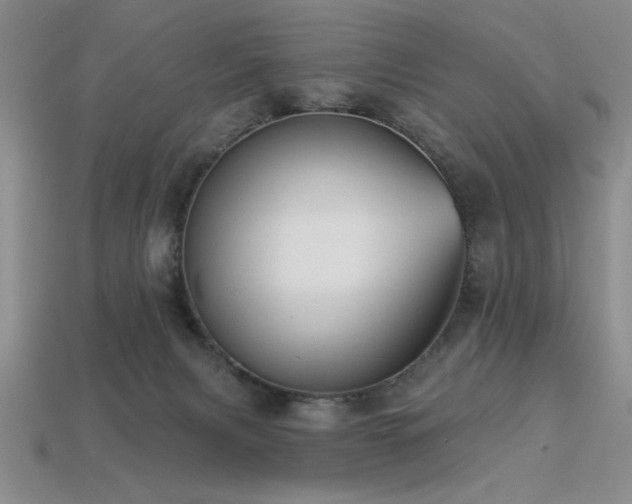 X0000113320079200909141404