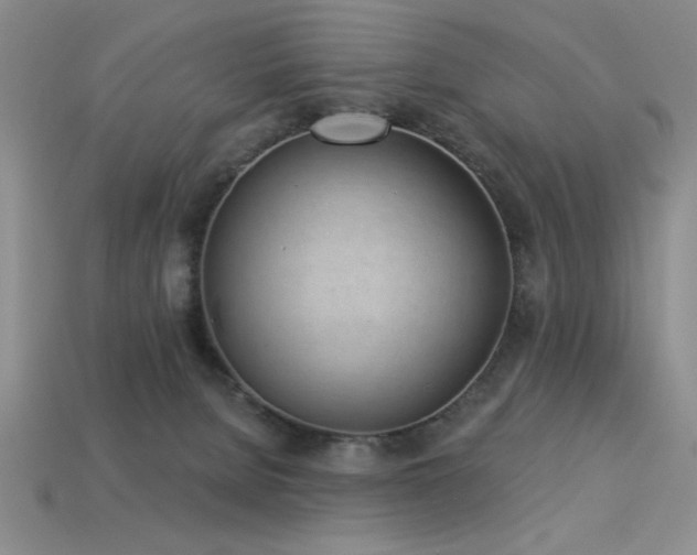 X0000113320080200909141404