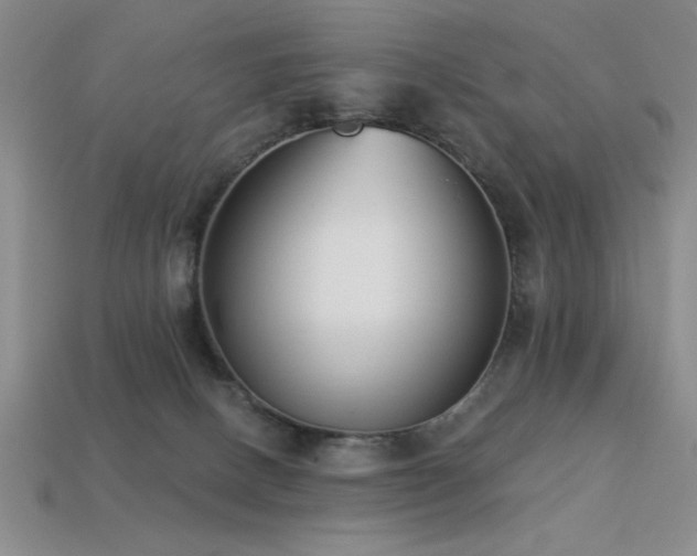 X0000113320082200909141404