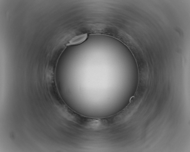 X0000113320083200909141405