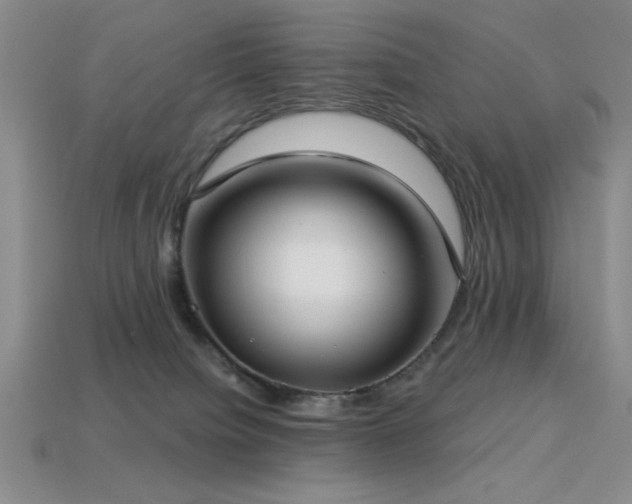 X0000113320084200909141405