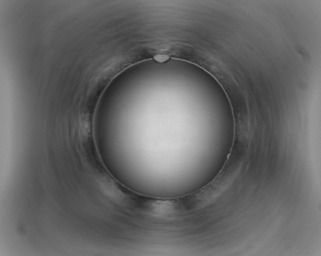 X0000113320085200909141405