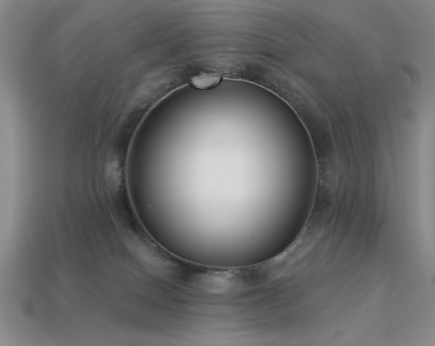 X0000113320086200909141405