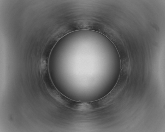 X0000113320087200909141405