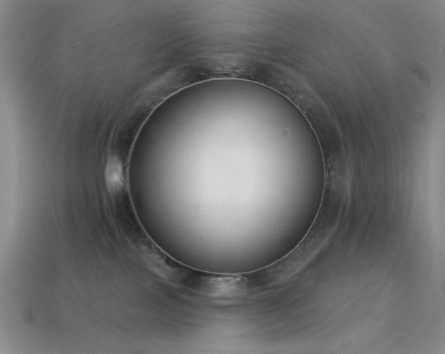 X0000113320089200909141405