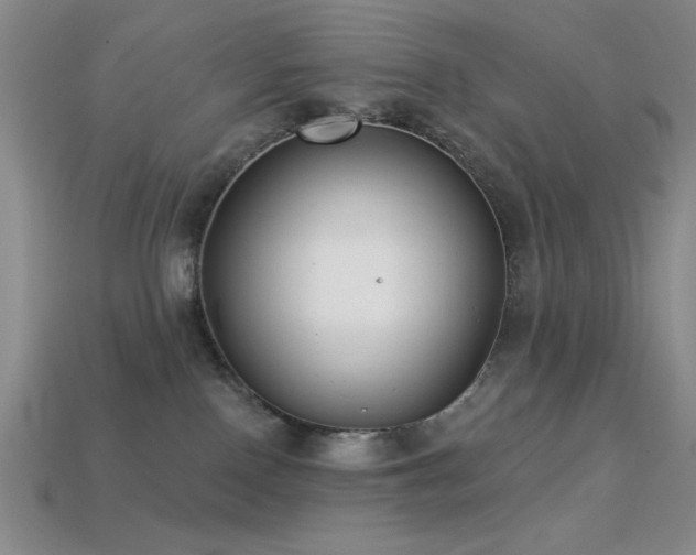 X0000113320090200909141405