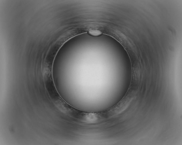 X0000113320091200909141405