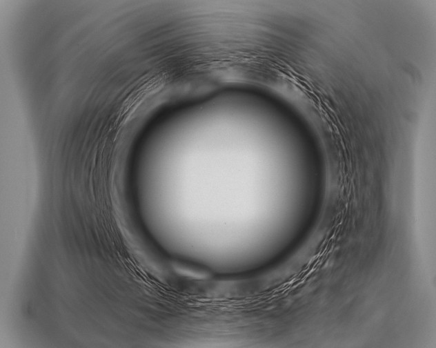 X0000113320097200909141404