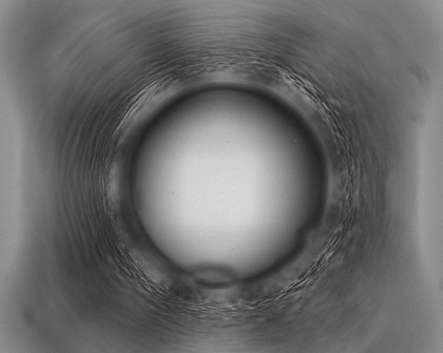 X0000113320098200909141404