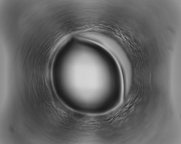 X0000113320100200909141404