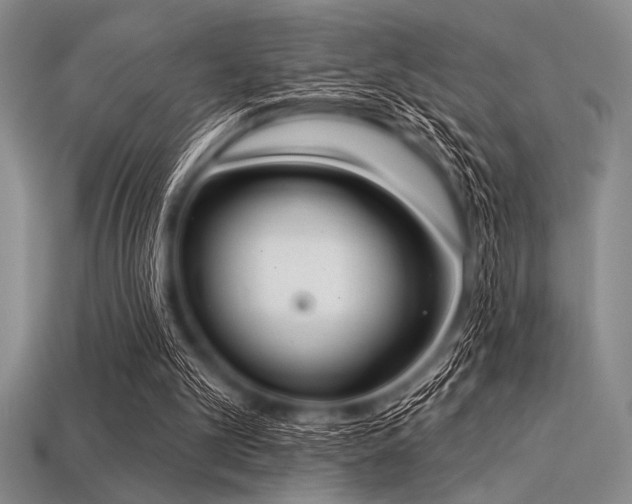 X0000113320101200909141404