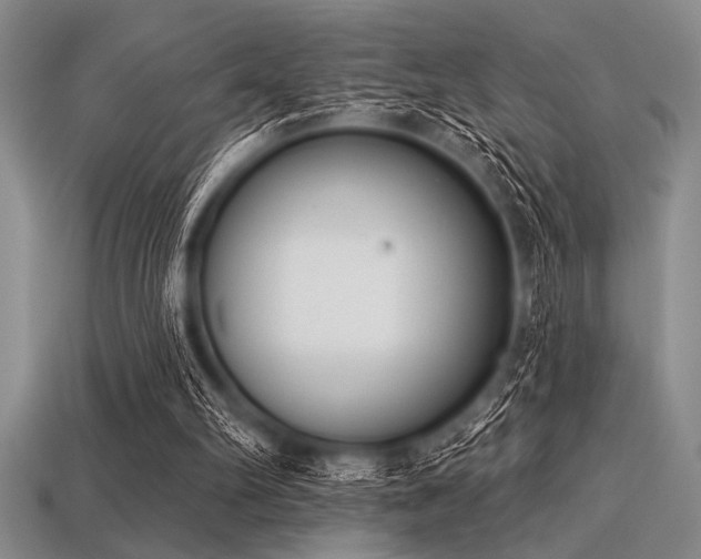 X0000113320102200909141404