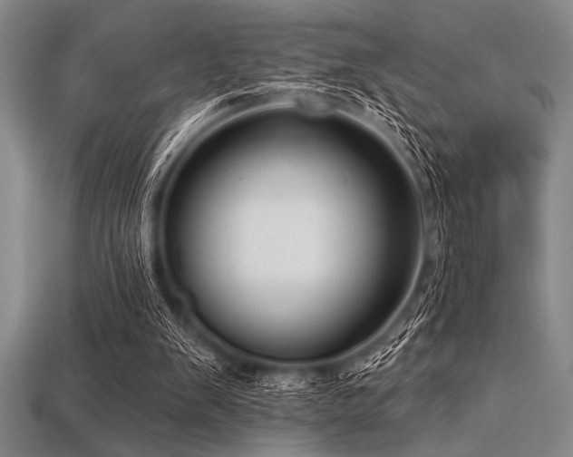 X0000113320103200909141404