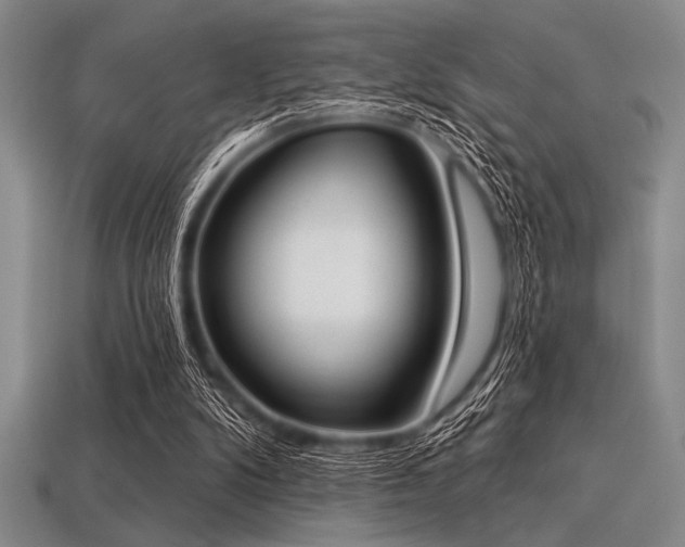 X0000113320104200909141404