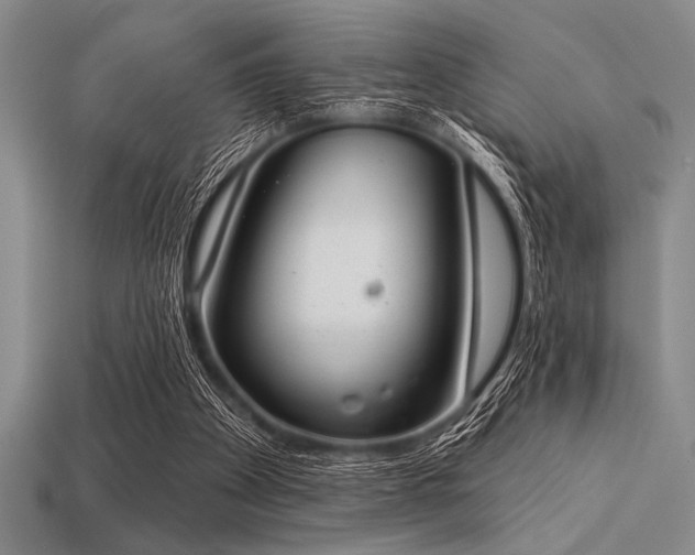 X0000113320105200909141404