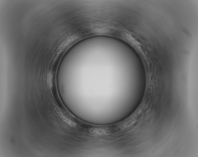 X0000113320106200909141404